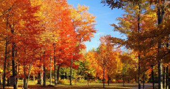 Les-couleurs-de-l-automne-dans-les-regions-françaises