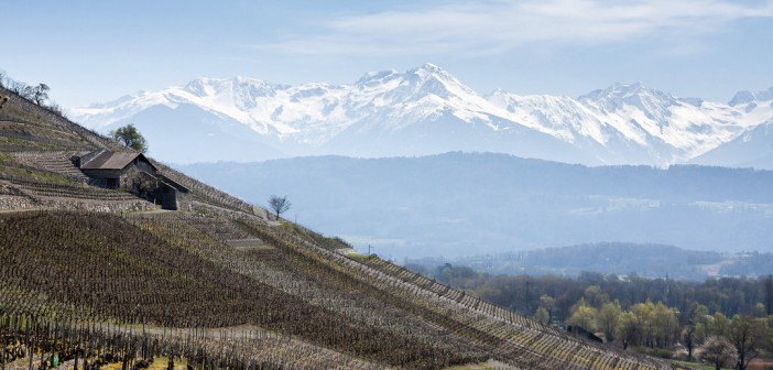 La route des vins de Savoie, entre lacs et montagnes