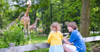 Les plus beaux zoos de France à visiter en famille ou entre amis