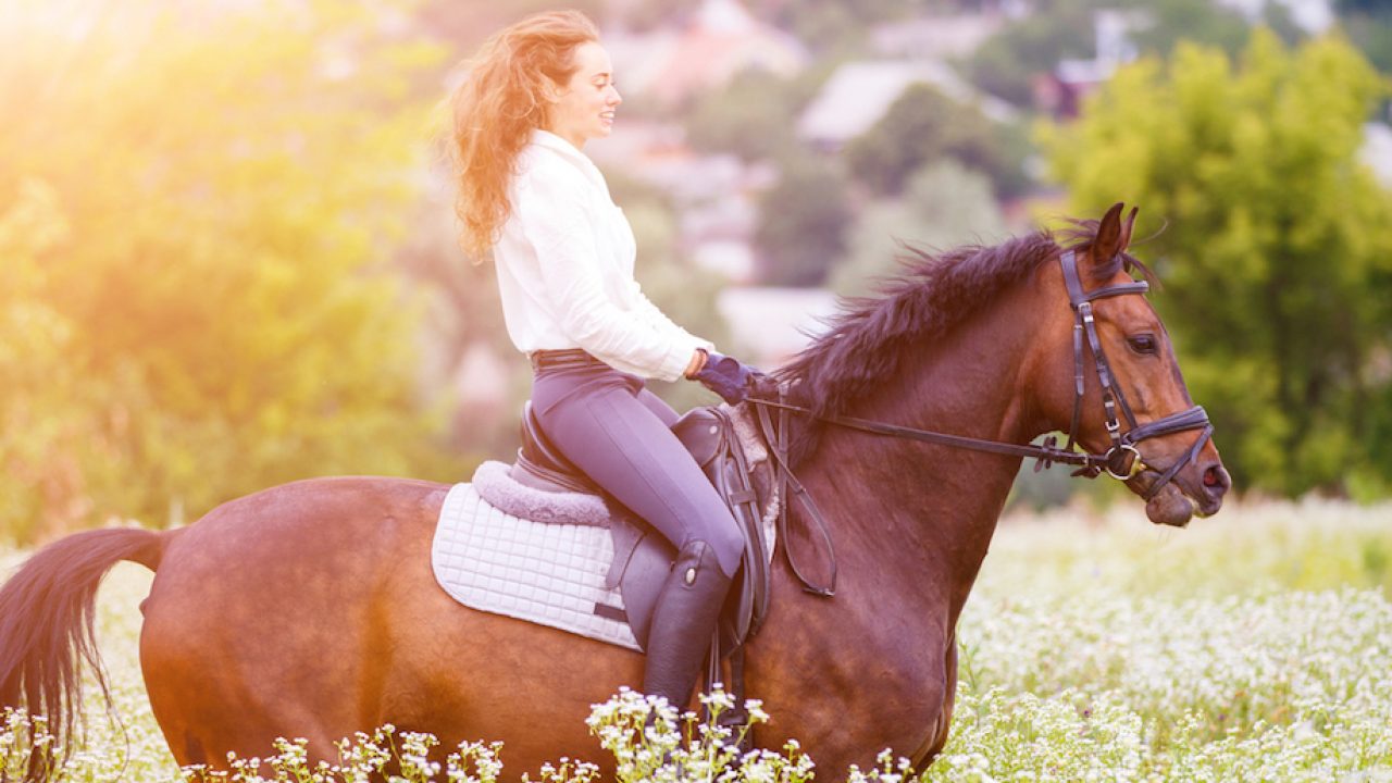 La randonnée à cheval, une autre façon de se ressourcer en vacances