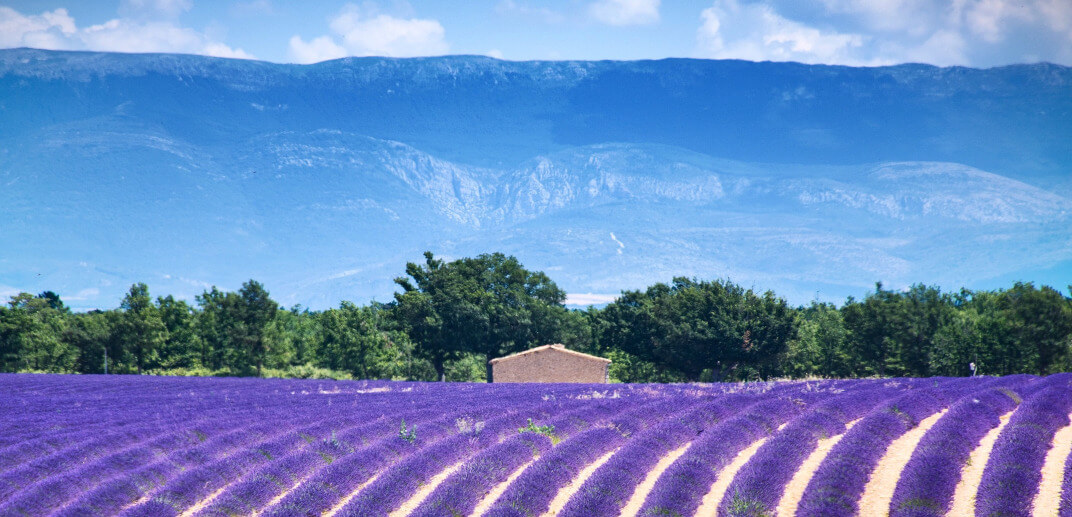 Que faire en Provence ?